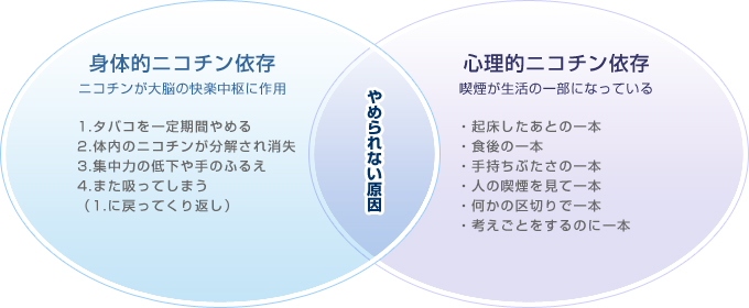 ニコチンが大脳の快楽中枢に作用する身体的ニコチン依存と喫煙が生活の一部になる心理的ニコチン依存