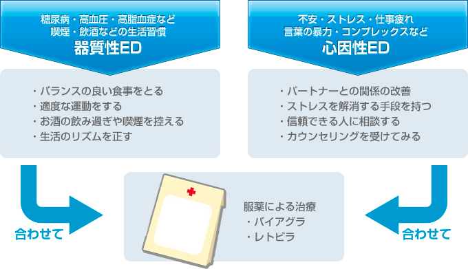 EDの原因である器質性(喫煙・生活習慣)と心因性(不安・ストレス・コンプレックス)をバイアグラ・レトビアの服用で治療